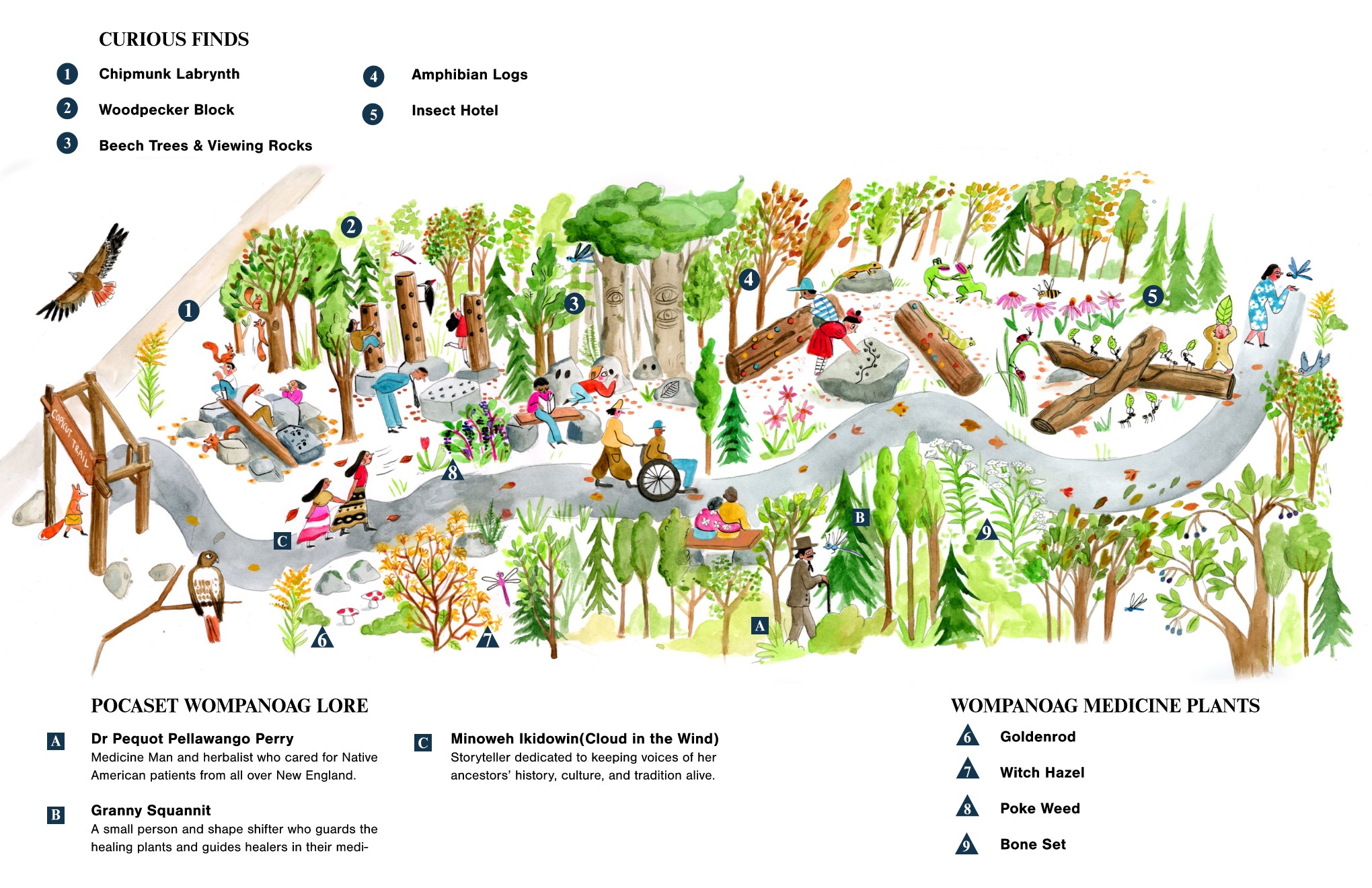 Copicut-The Big Woods